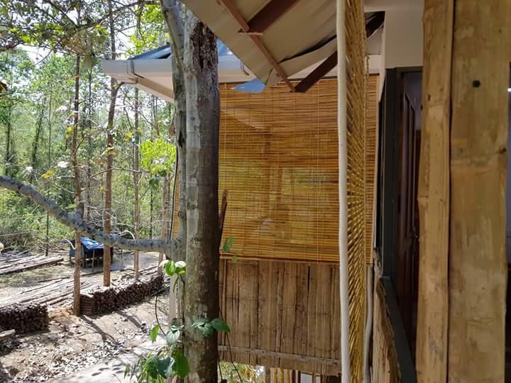 Ponmudi Valley Resorts المظهر الخارجي الصورة