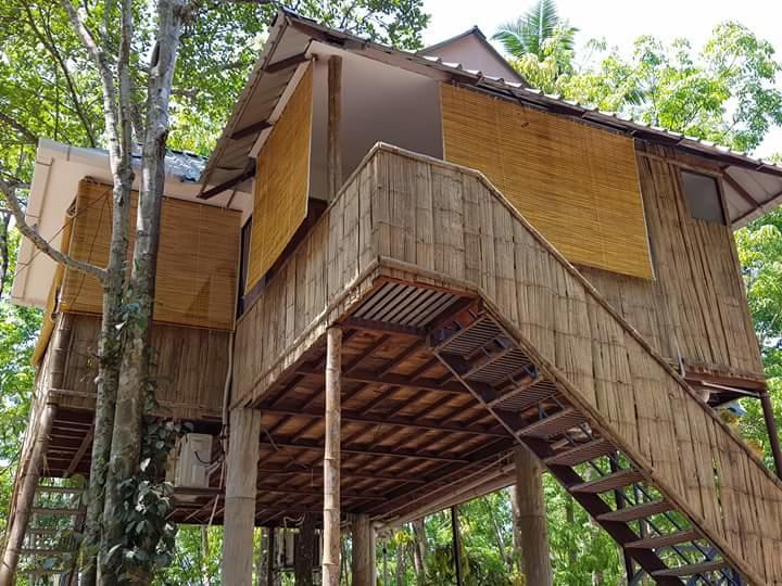 Ponmudi Valley Resorts المظهر الخارجي الصورة