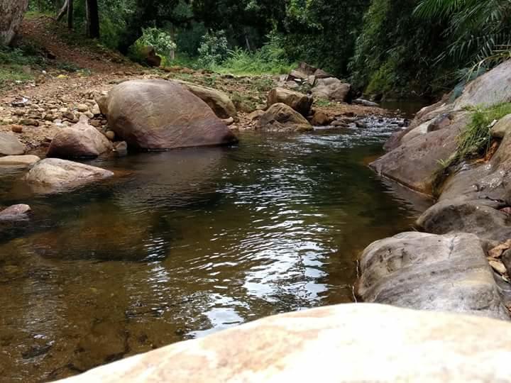 Ponmudi Valley Resorts المظهر الخارجي الصورة